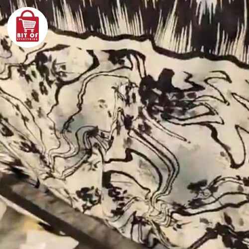 SAFE NOOR LADIES SUIT 2PCS